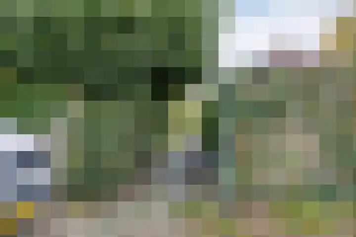De Sluis 56 Leek thumbnail 39