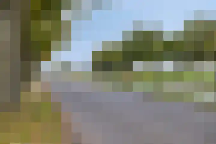 De Sluis 56 Leek thumbnail 40