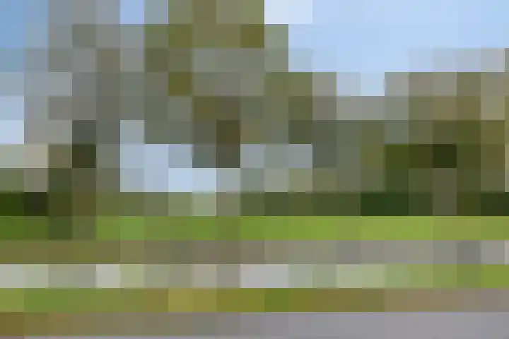 De Sluis 56 Leek thumbnail 41