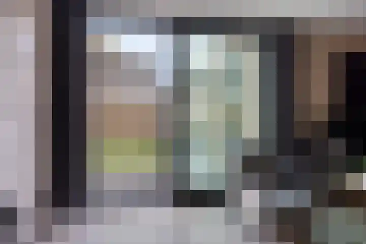 De Sluis 56 Leek thumbnail 6