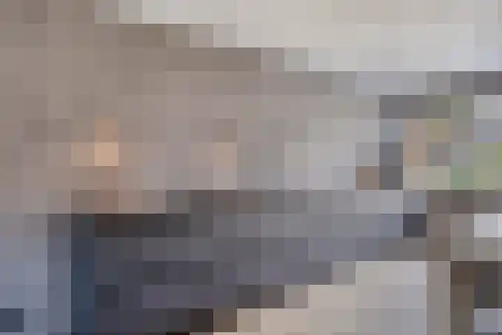 De Sluis 56 Leek thumbnail 9