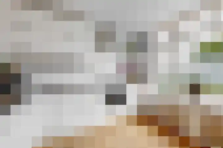 De Sluistocht 14 Velserbroek thumbnail 16