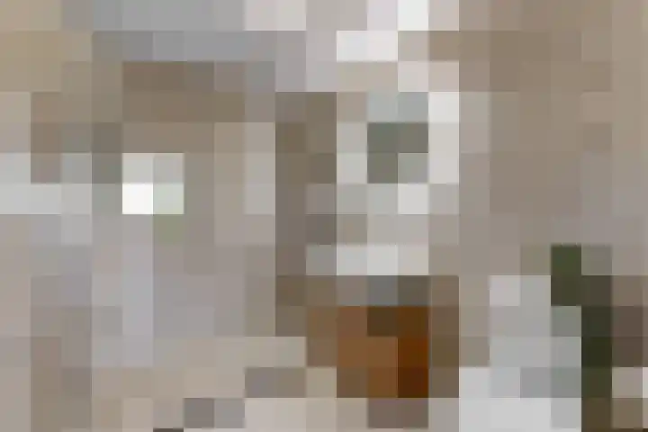 De Sluistocht 14 Velserbroek thumbnail 22