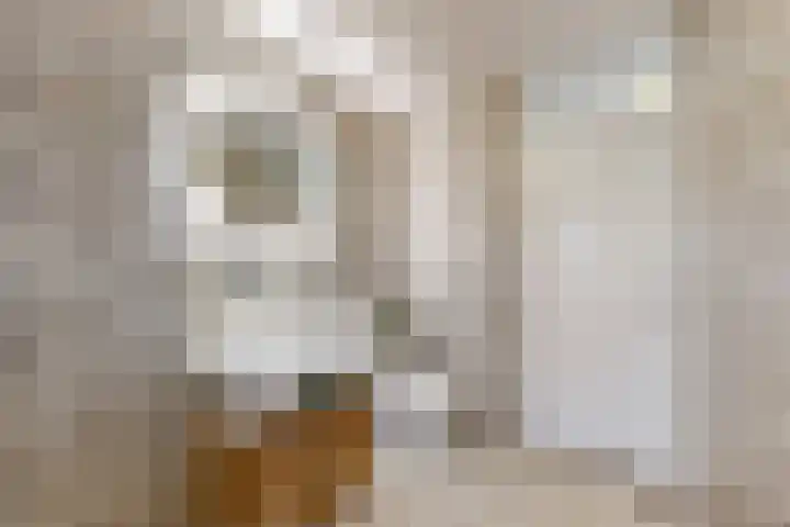 De Sluistocht 14 Velserbroek thumbnail 23