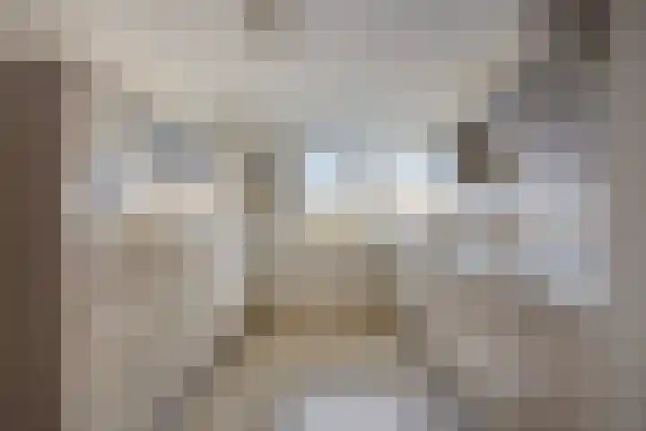 De Sluiswachter 21 Uitgeest thumbnail 13