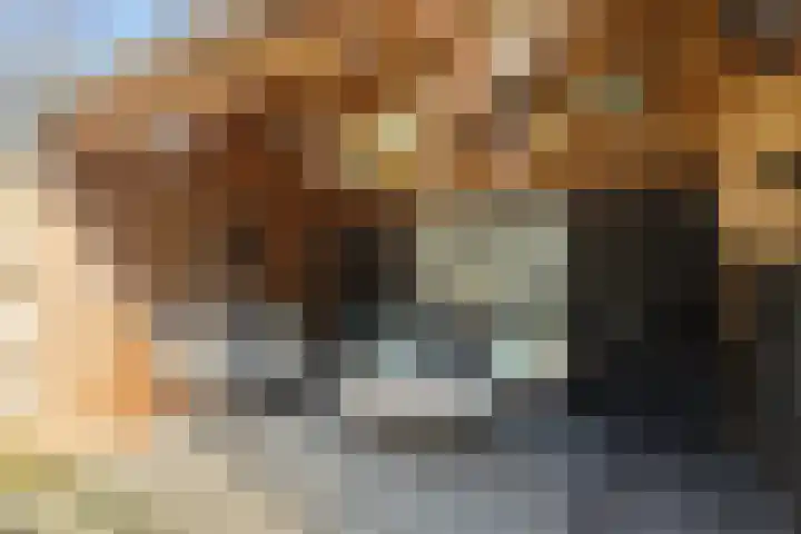 De Sluiswachter 21 Uitgeest thumbnail 31