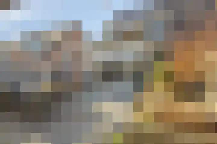 De Sluiswachter 21 Uitgeest thumbnail 32