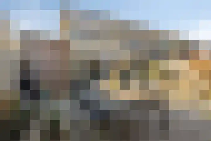 De Sluiswachter 21 Uitgeest thumbnail 33