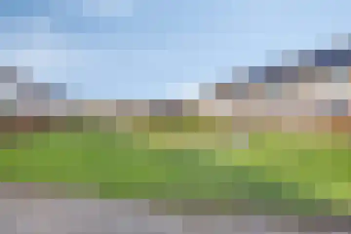 De Sluiswachter 21 Uitgeest thumbnail 37