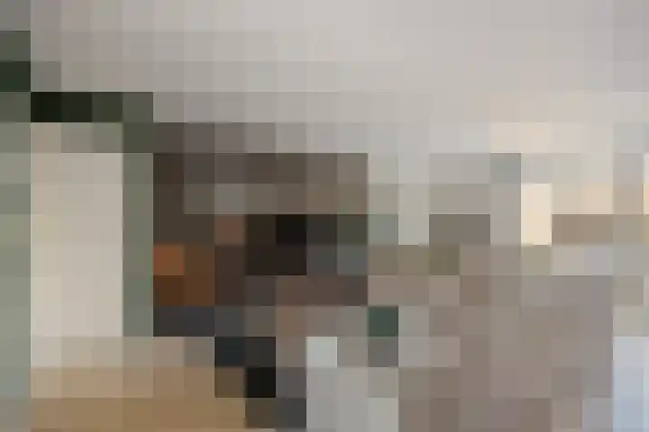 De Sluiswachter 21 Uitgeest thumbnail 4