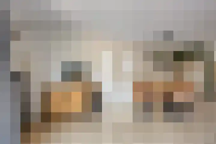 De Sluiswachter 21 Uitgeest thumbnail 9