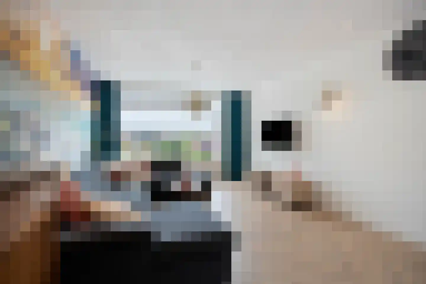 de Sluiter 15 Lieshout thumbnail 16