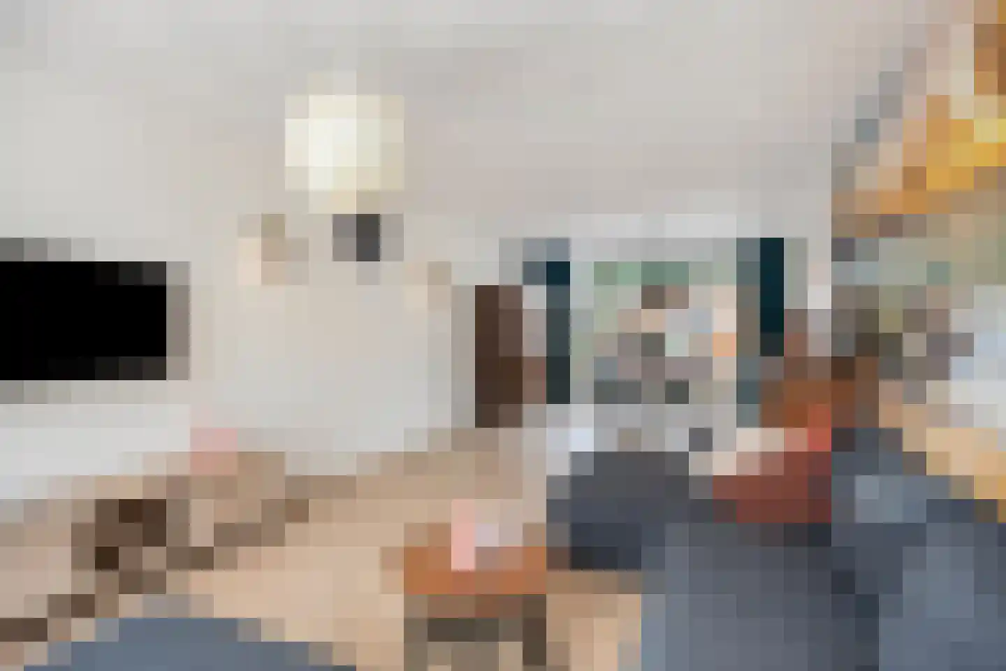de Sluiter 15 Lieshout thumbnail 18