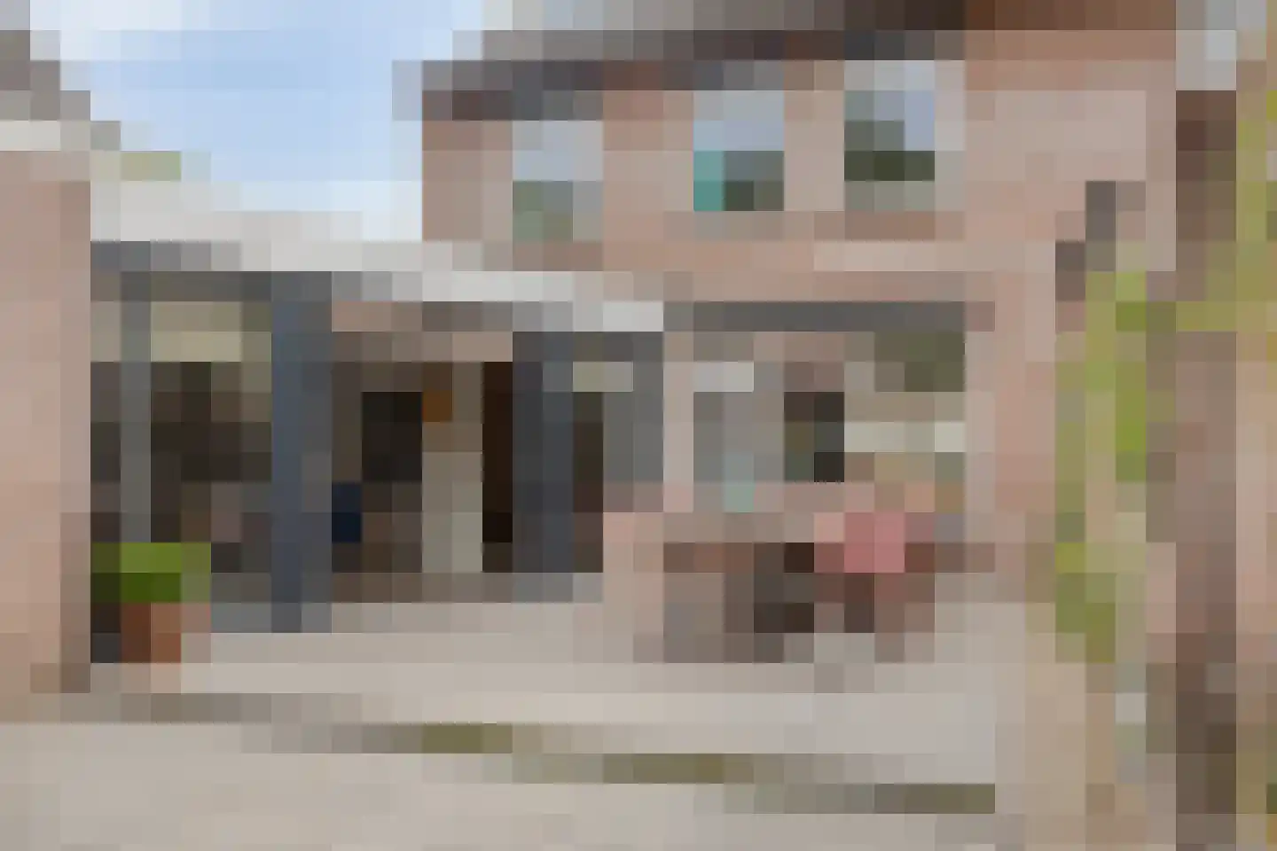 de Sluiter 15 Lieshout thumbnail 51