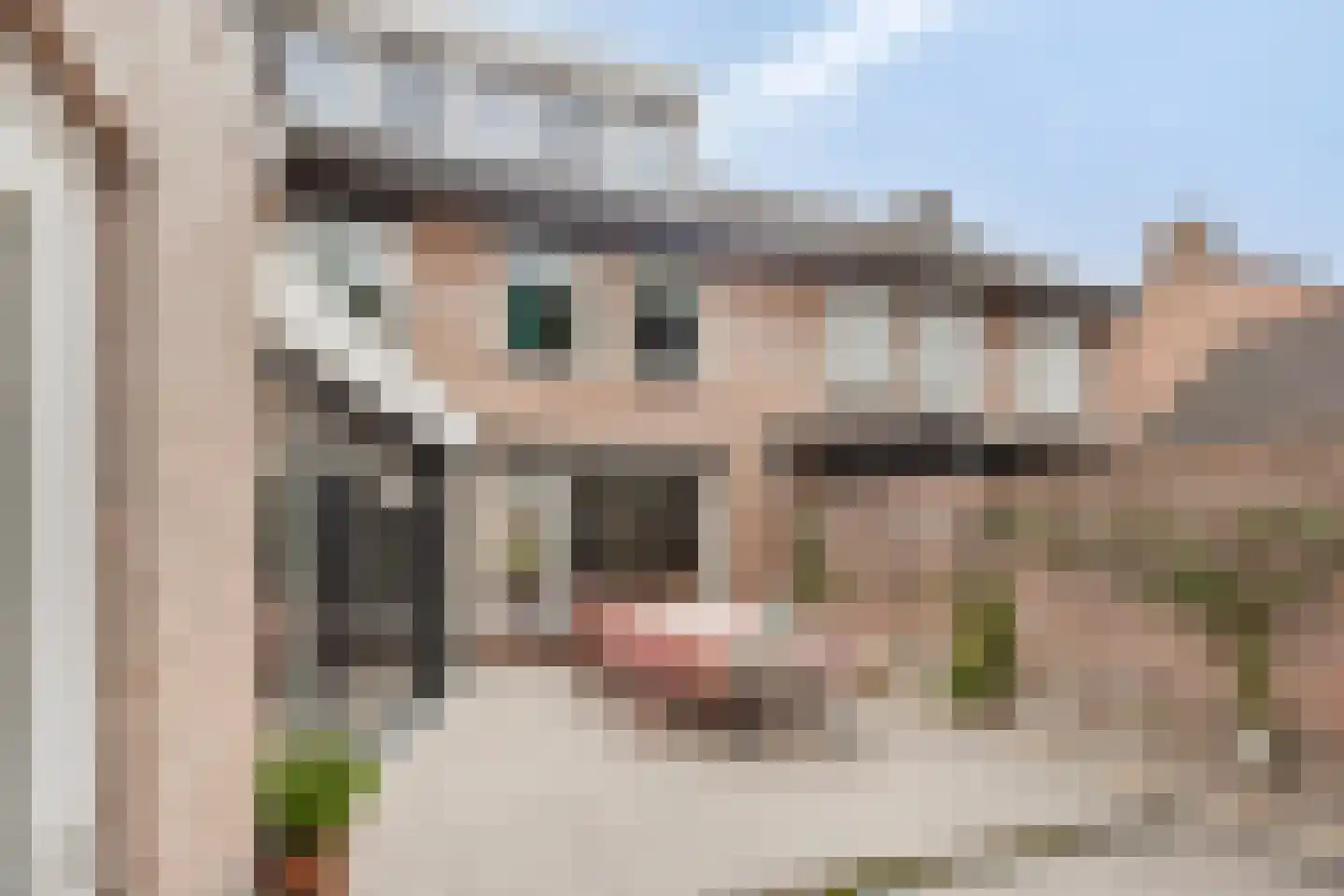 de Sluiter 15 Lieshout thumbnail 53