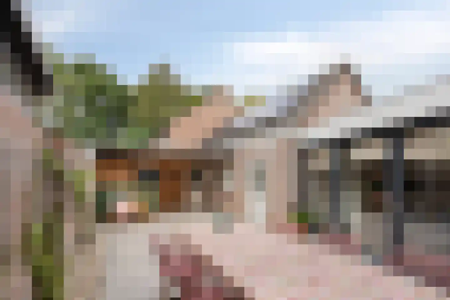 de Sluiter 15 Lieshout thumbnail 7