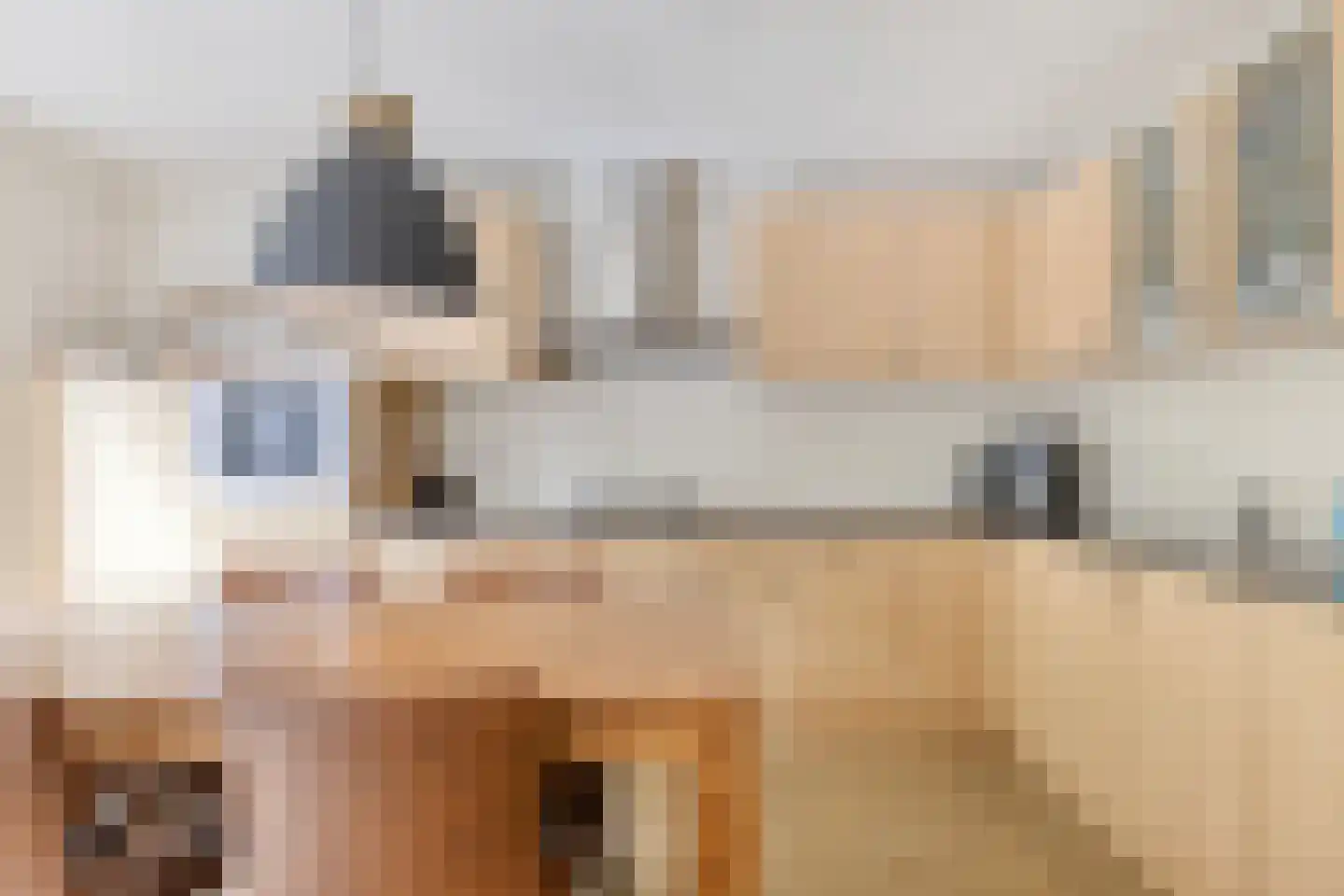 De Smagt 25 De Mortel thumbnail 18