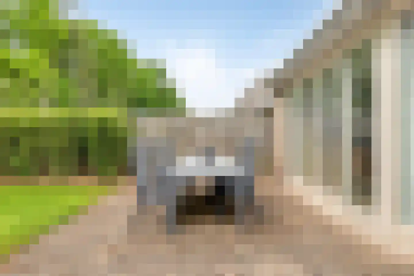 De Smagt 25 De Mortel thumbnail 37