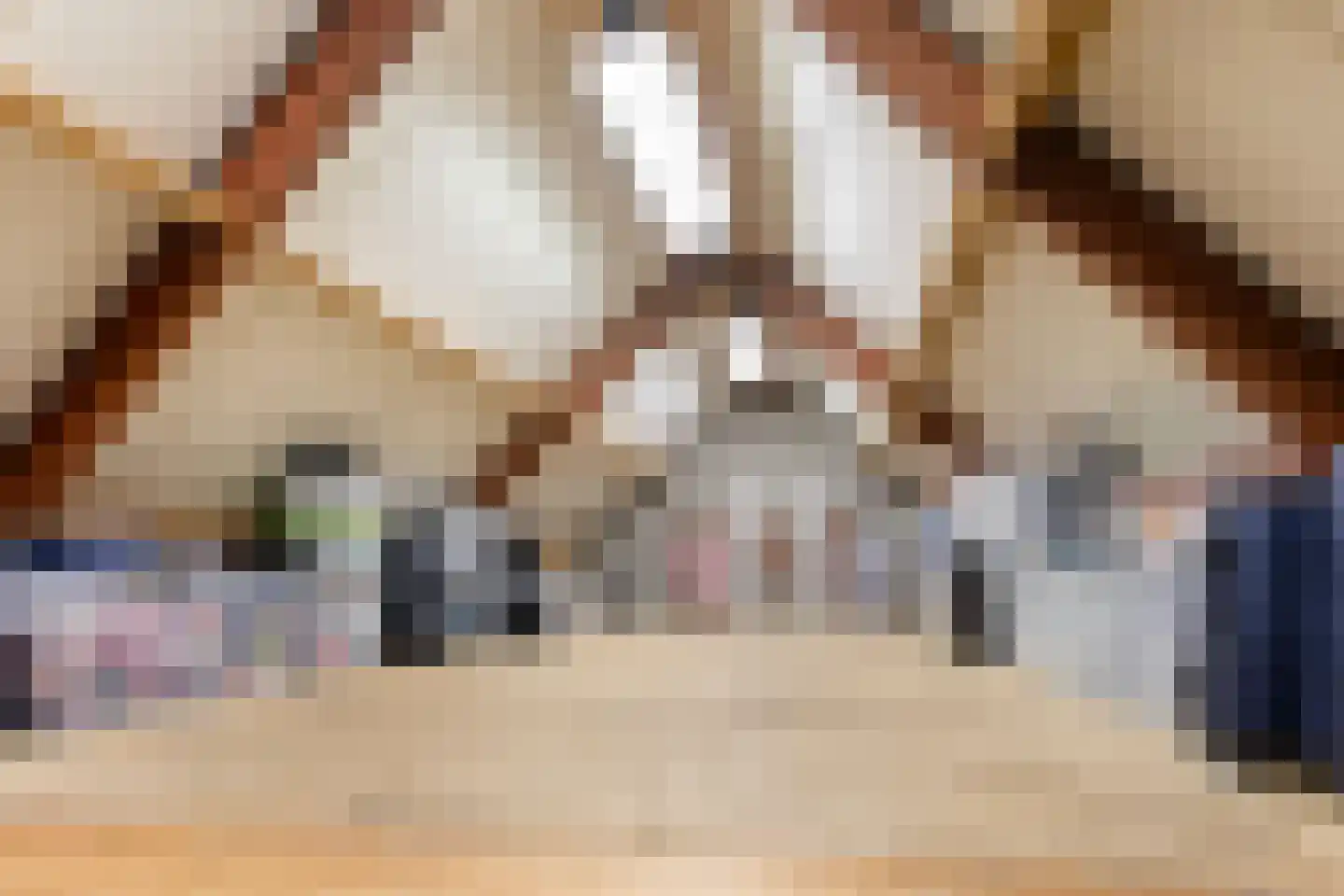 De Smagt 25 De Mortel thumbnail 41