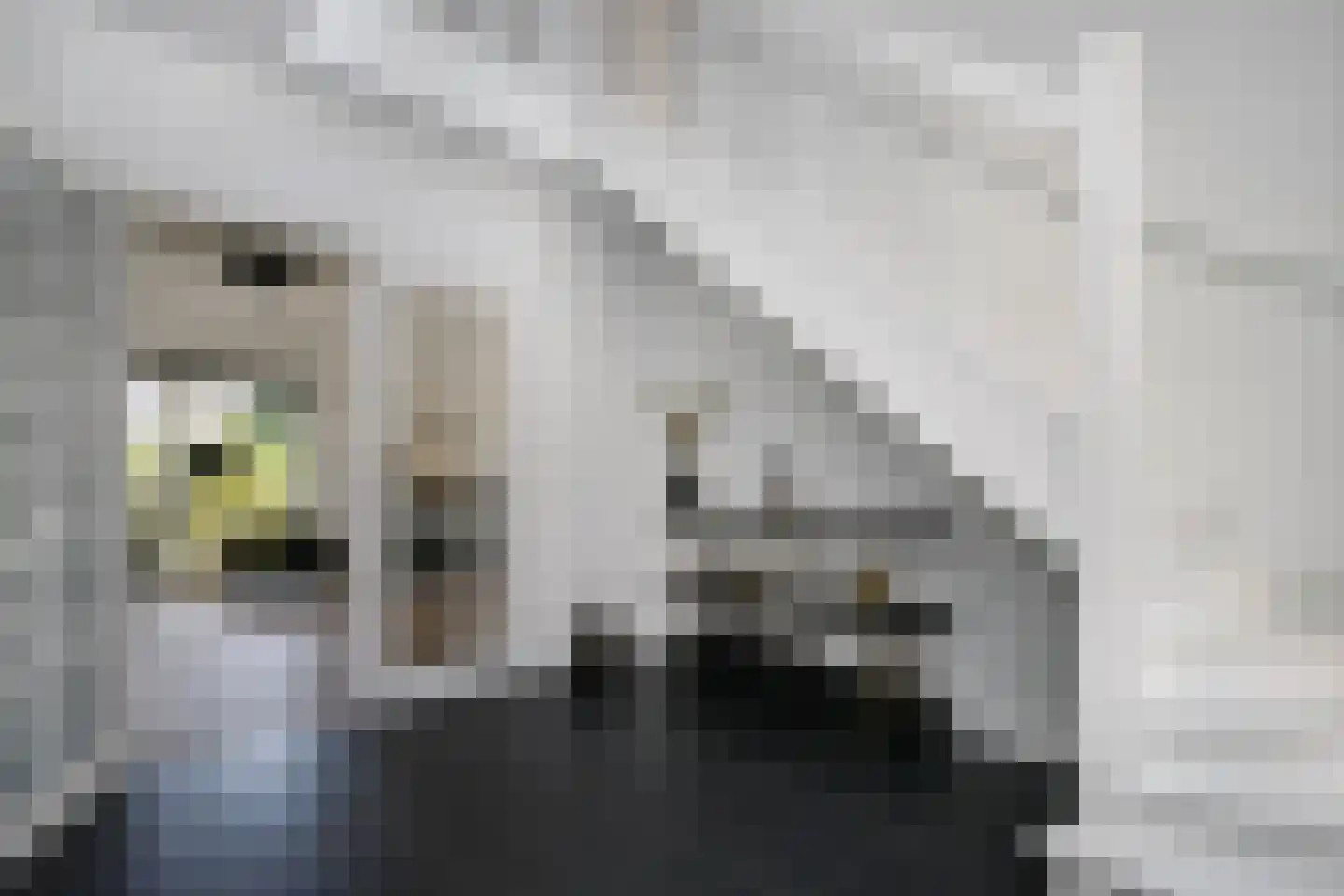 De Smaragd 16 Schoonhoven thumbnail 10
