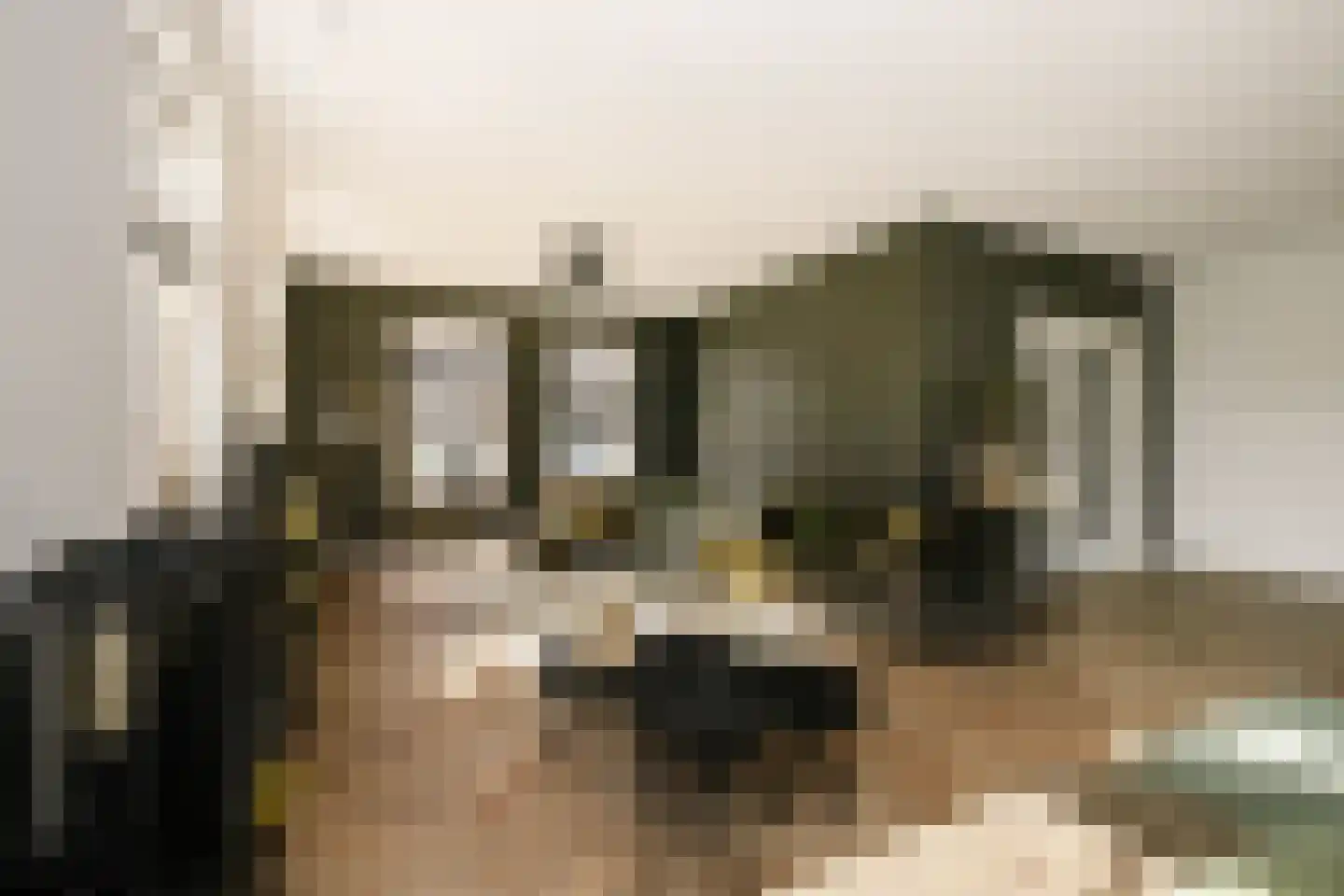 De Smaragd 16 Schoonhoven thumbnail 12