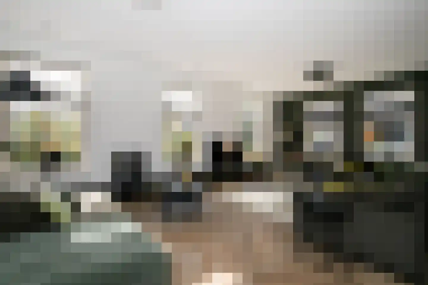 De Smaragd 16 Schoonhoven thumbnail 13
