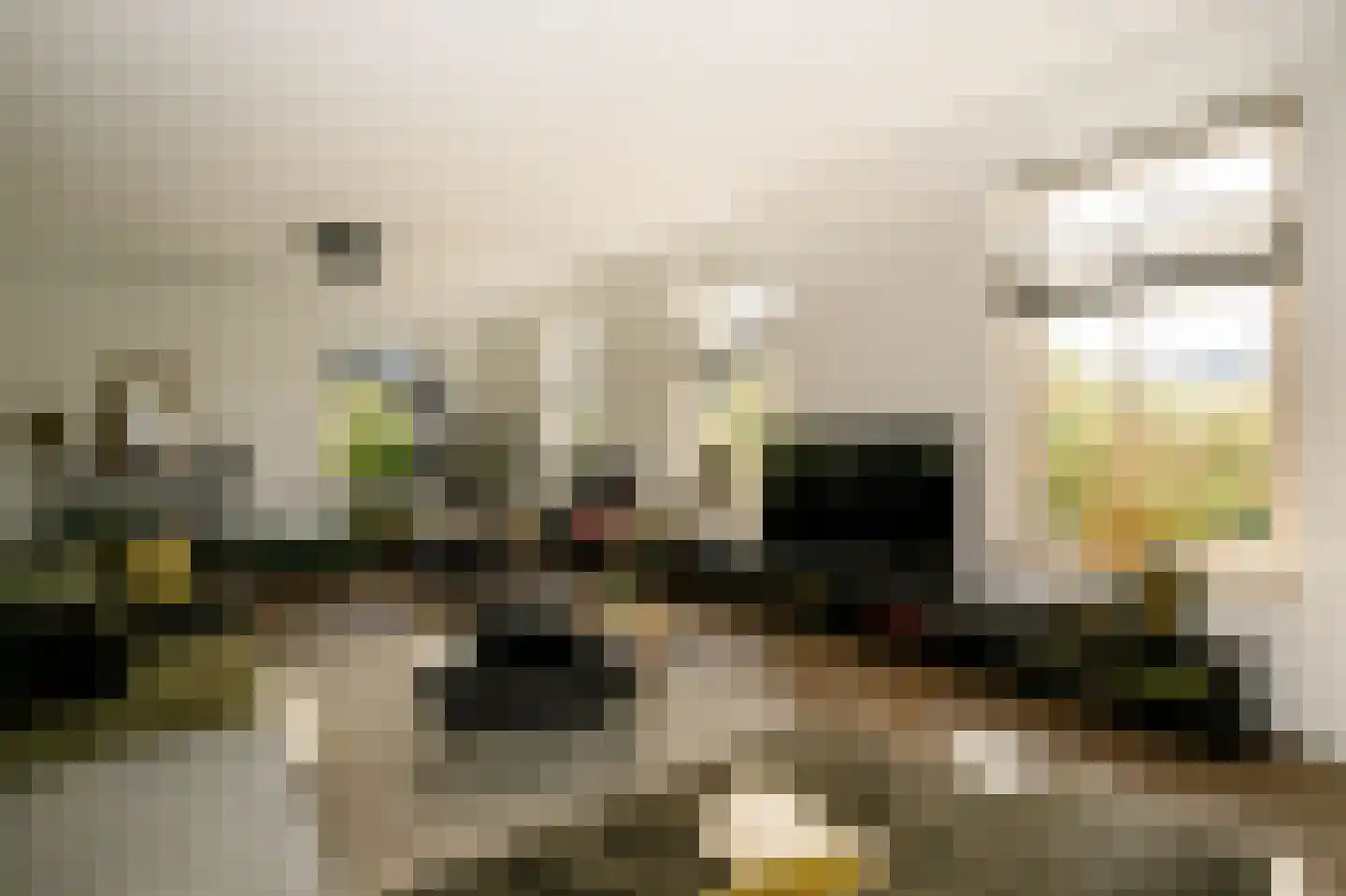 De Smaragd 16 Schoonhoven thumbnail 14