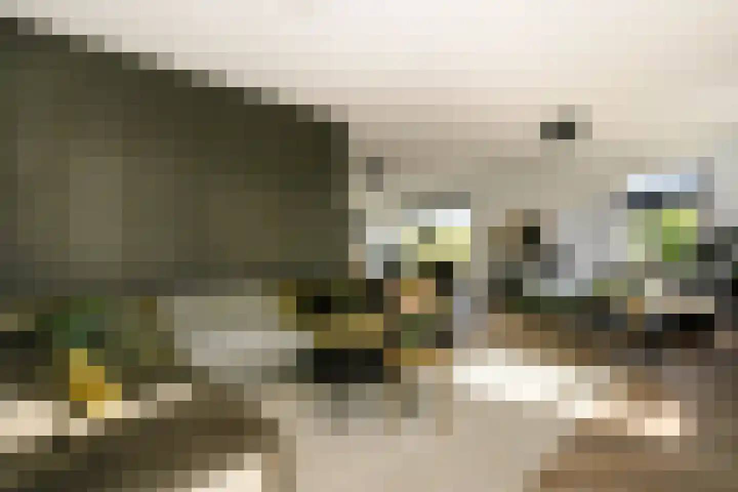 De Smaragd 16 Schoonhoven thumbnail 15