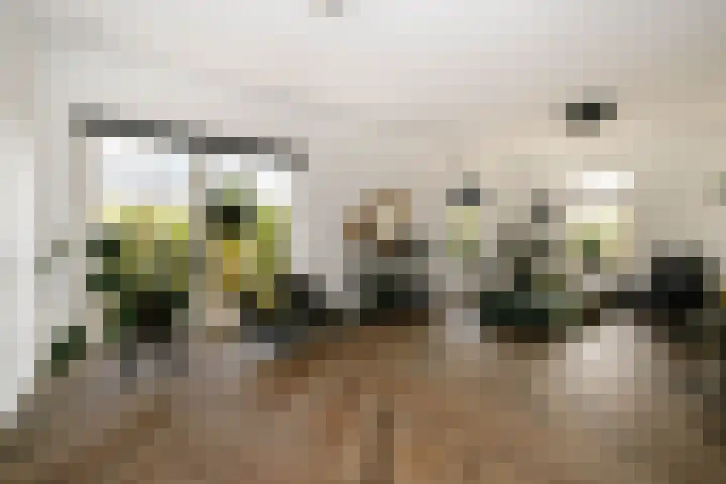 De Smaragd 16 Schoonhoven thumbnail 16