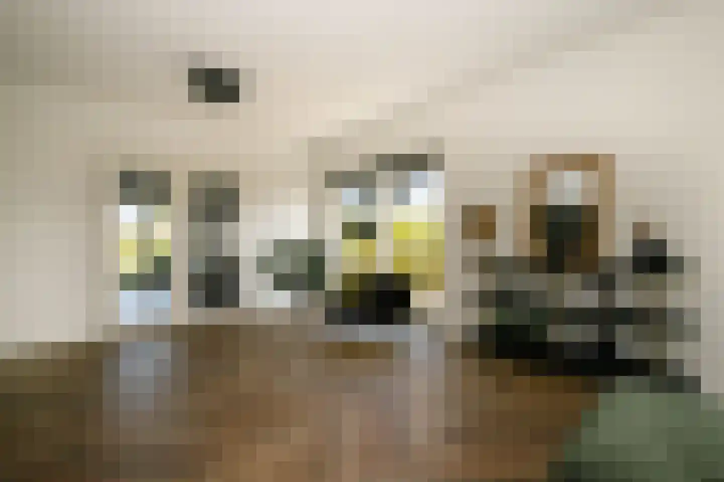 De Smaragd 16 Schoonhoven thumbnail 17