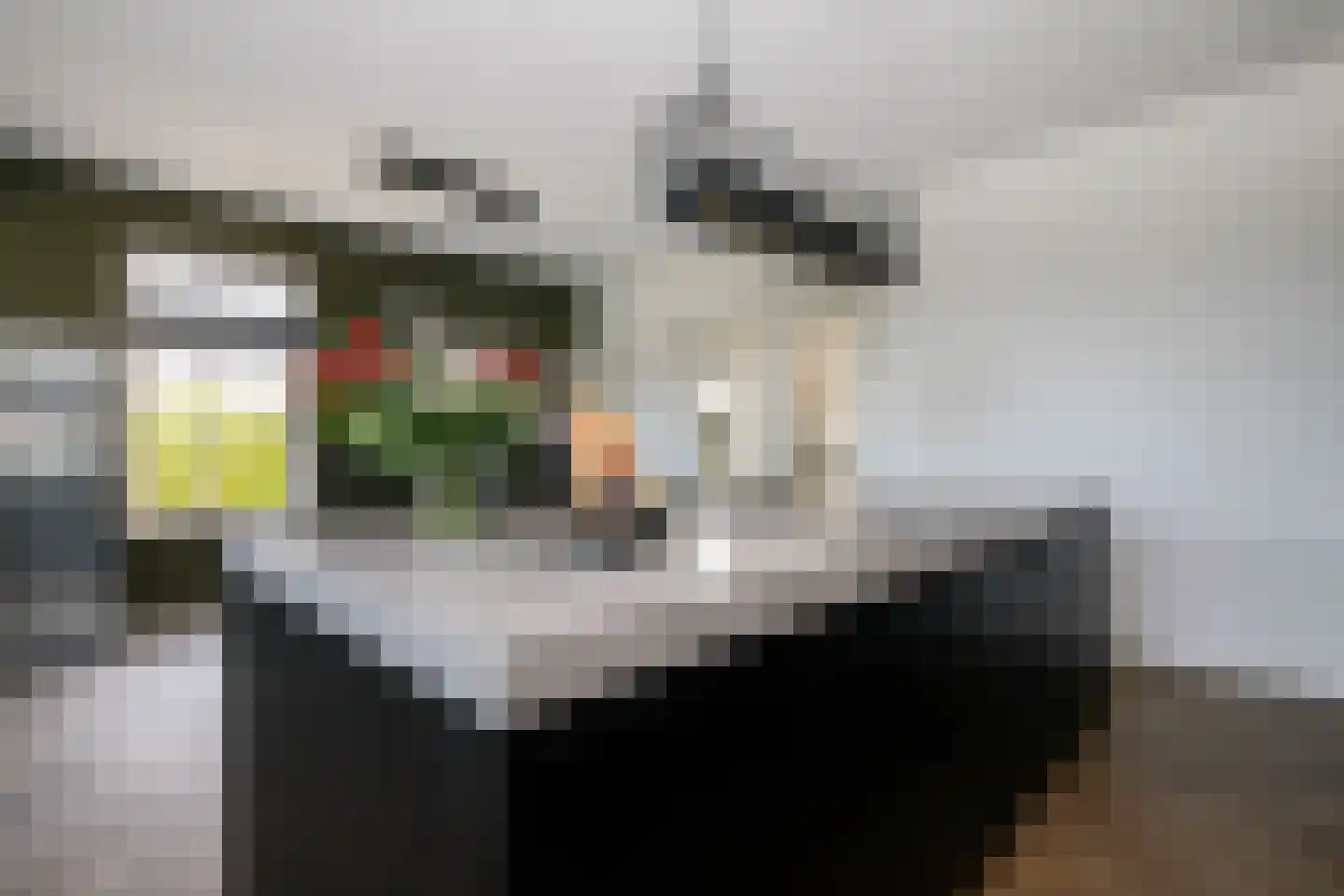 De Smaragd 16 Schoonhoven thumbnail 23