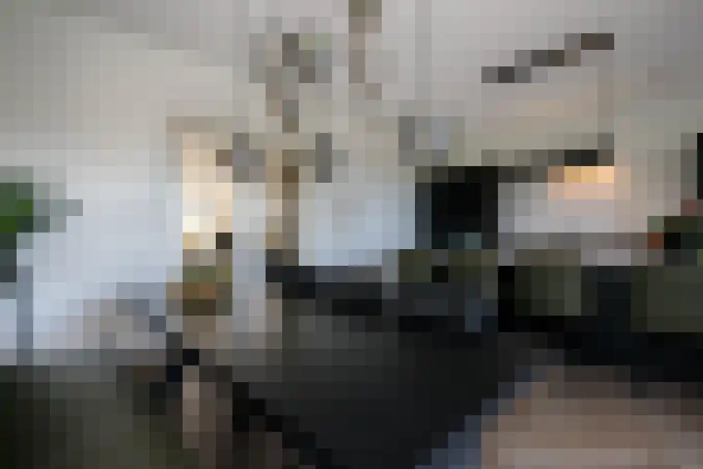 De Smaragd 16 Schoonhoven thumbnail 24