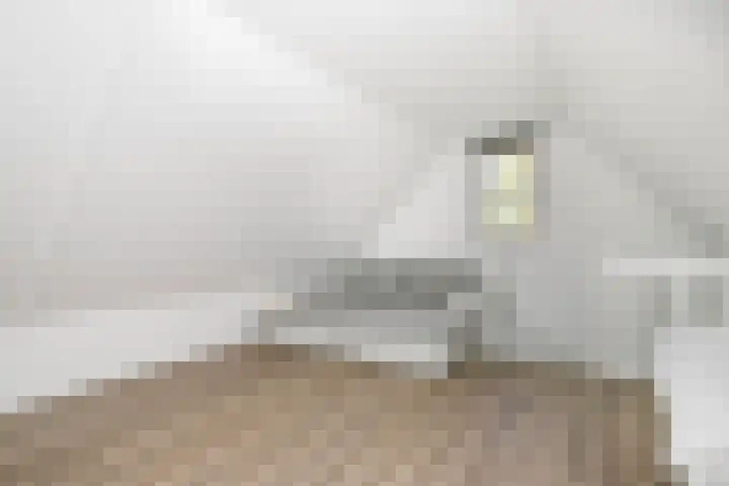 De Smaragd 16 Schoonhoven thumbnail 29