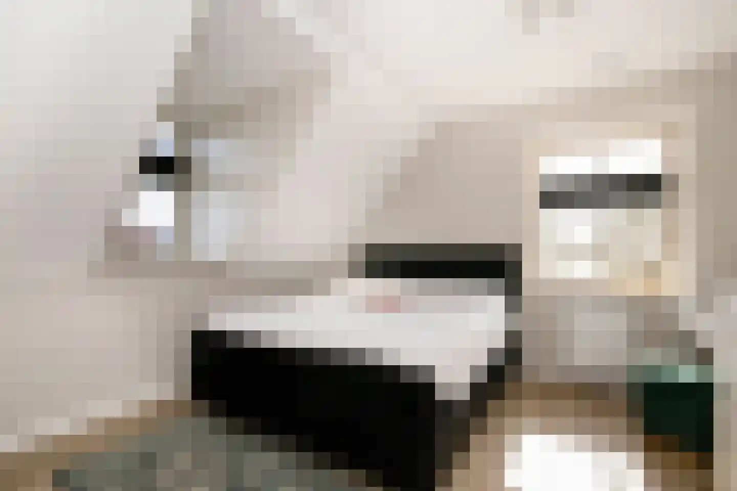 De Smaragd 16 Schoonhoven thumbnail 38