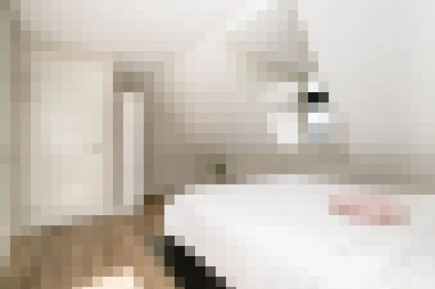 De Smaragd 16 Schoonhoven thumbnail 40