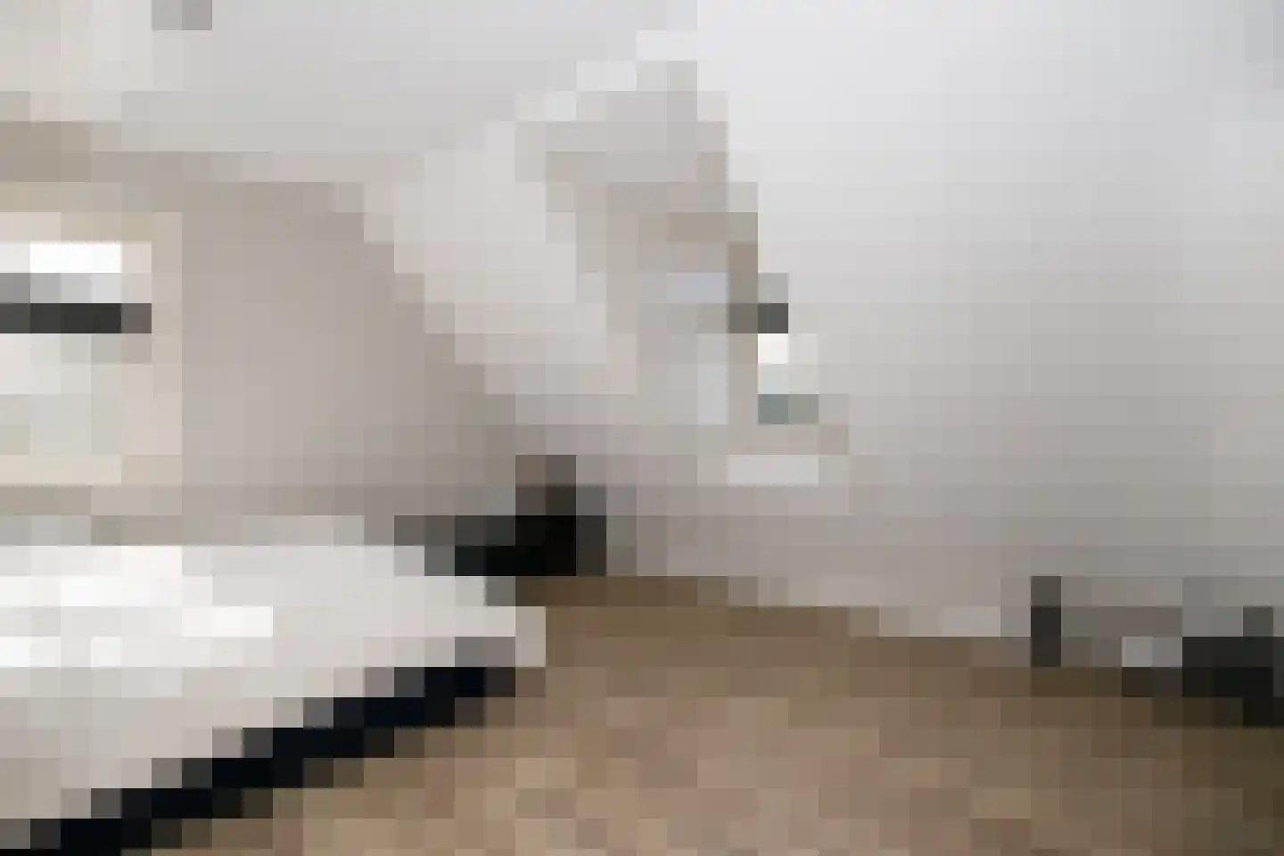 De Smaragd 16 Schoonhoven thumbnail 41