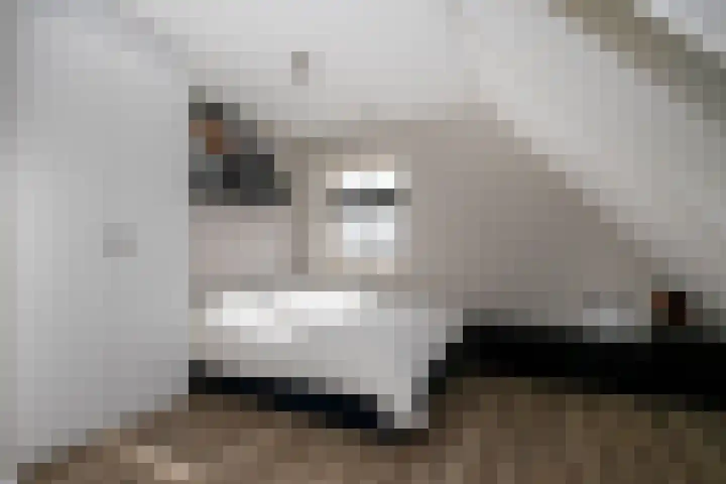 De Smaragd 16 Schoonhoven thumbnail 42
