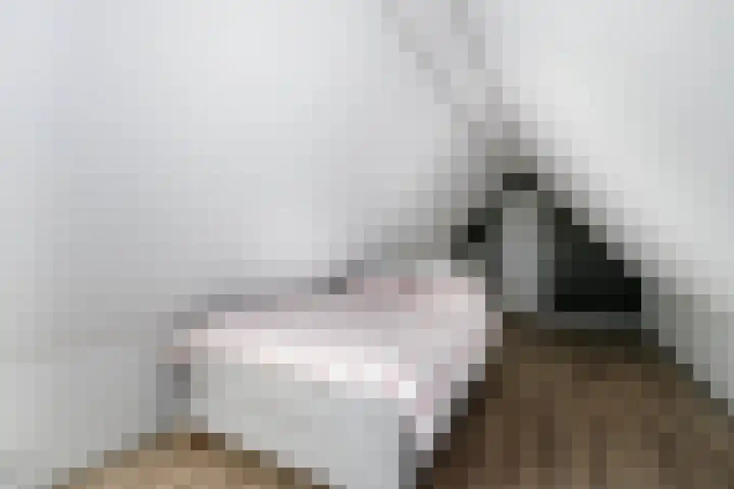 De Smaragd 16 Schoonhoven thumbnail 48