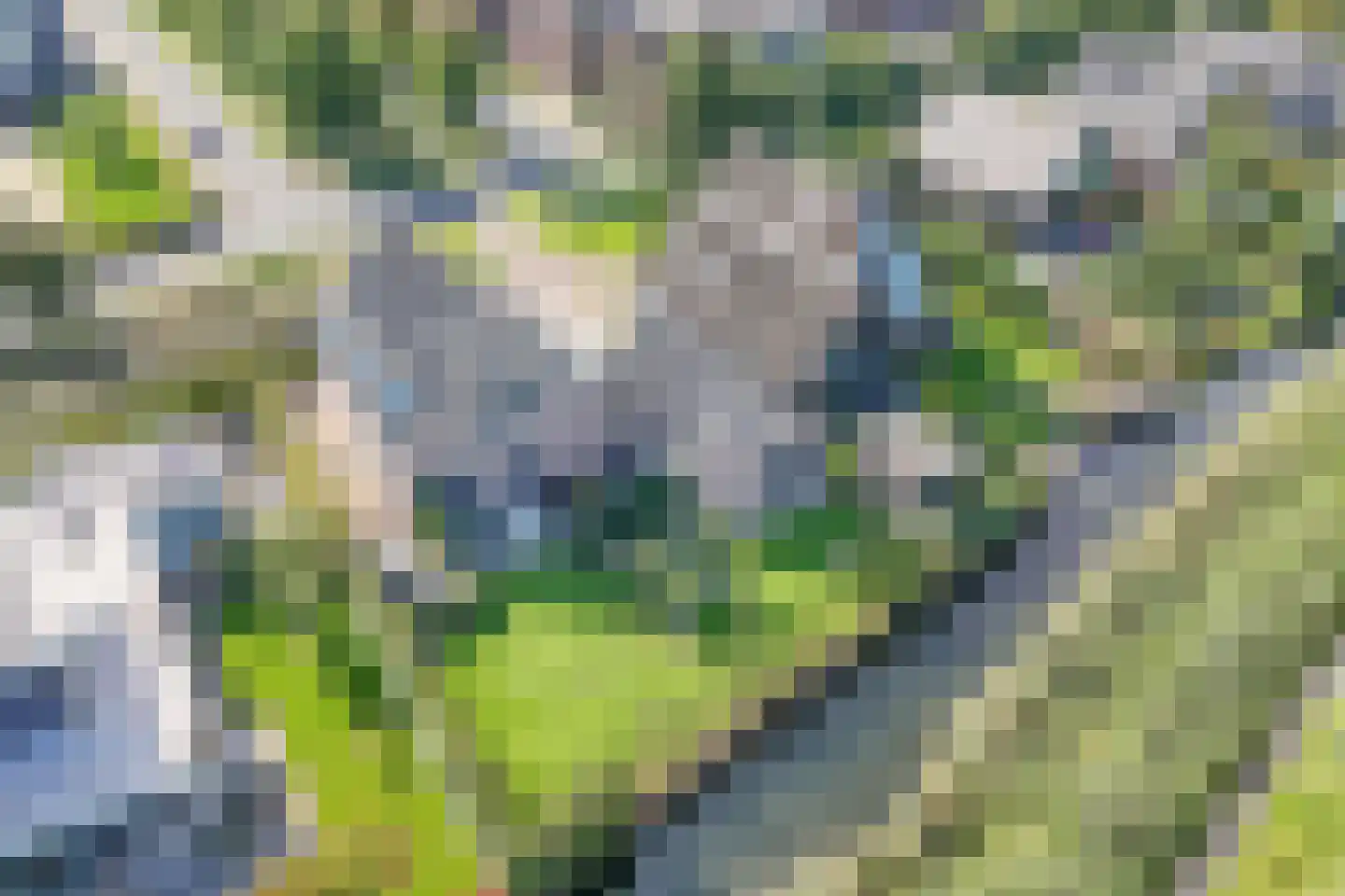 De Smaragd 16 Schoonhoven thumbnail 51