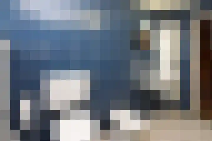 De Smaragd 4 Swifterbant thumbnail 29