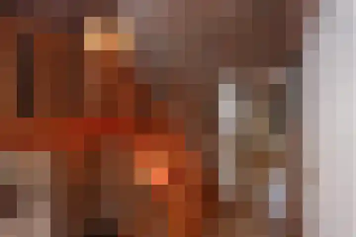 De Smaragd 4 Swifterbant thumbnail 30