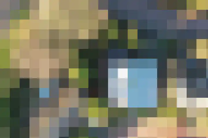 De Smaragd 4 Swifterbant thumbnail 42