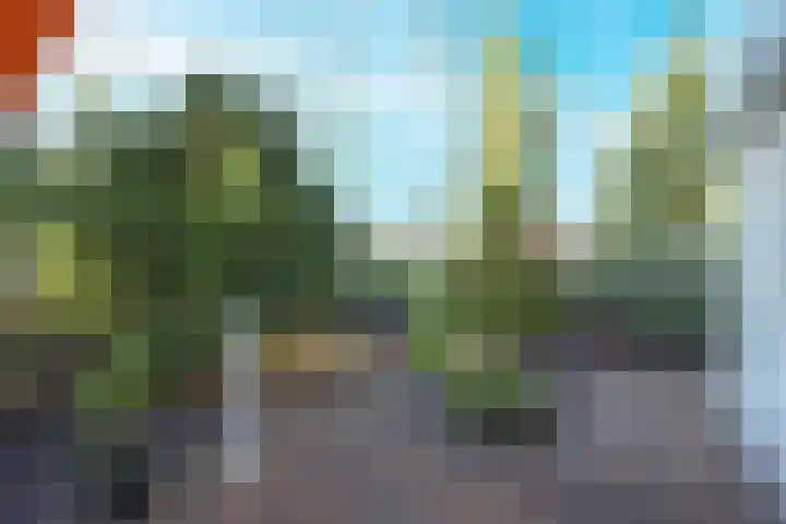 De Smaragd 4 Swifterbant thumbnail 43