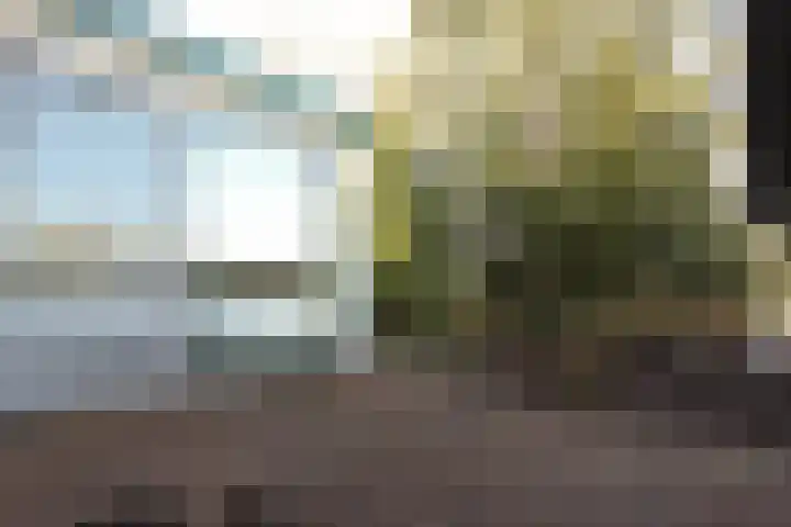 De Smaragd 4 Swifterbant thumbnail 45