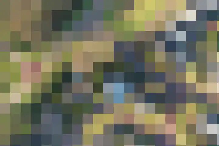De Smaragd 4 Swifterbant thumbnail 48