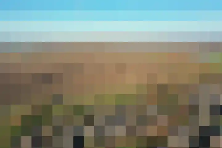 De Smaragd 4 Swifterbant thumbnail 49