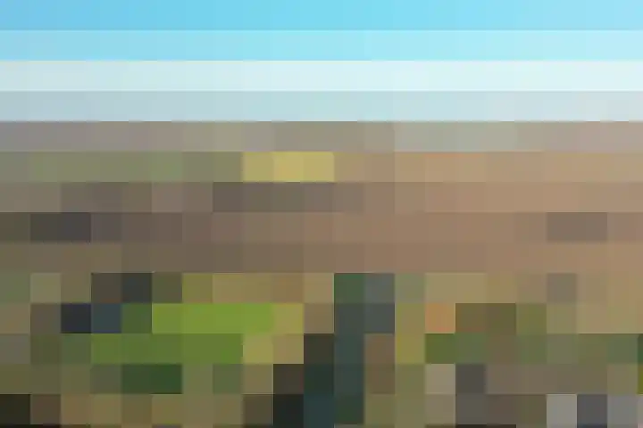 De Smaragd 4 Swifterbant thumbnail 50