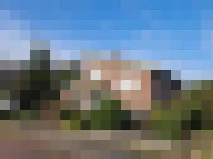 De Smaragd 4 Swifterbant thumbnail 6