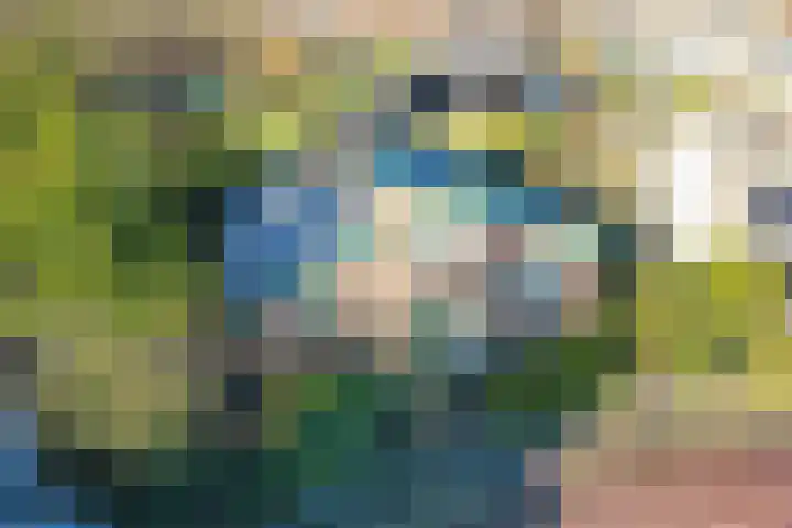 De Smaragd 4 Swifterbant thumbnail 8