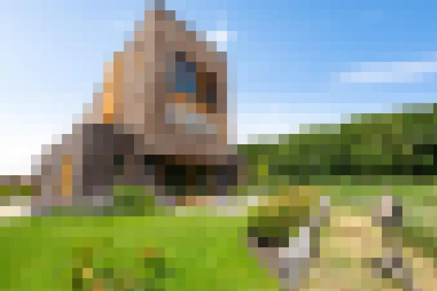 De Smaragdlibel 15 Eelderwolde